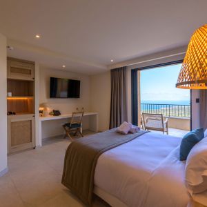 hotel-proche-calvi-ile-rousse-chambre-PMR (4)